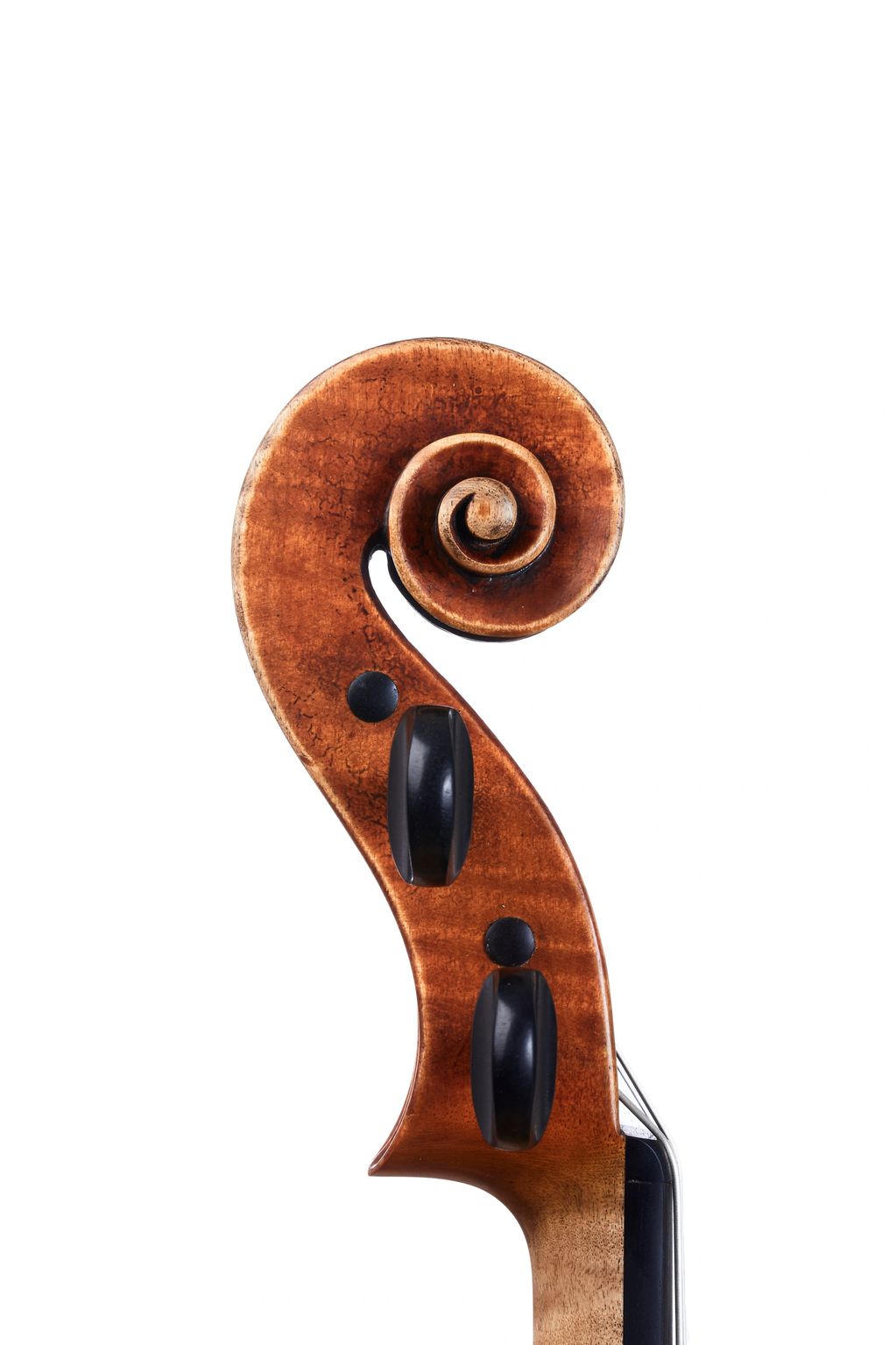 New Instruments DiPesa Violins